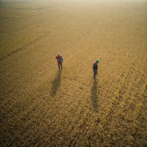 Agricultural Worker Essential Qualifications and Skills: Philippines