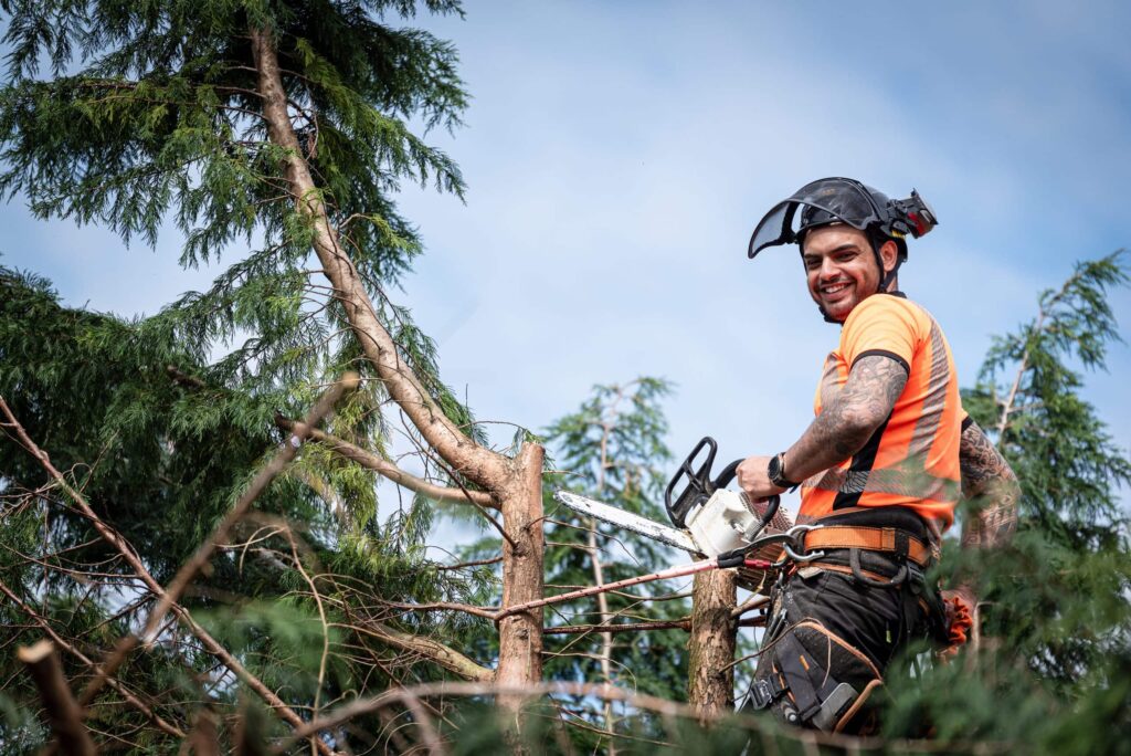 Arboriculturist: Educational Requirements, Career Path, and Salaries